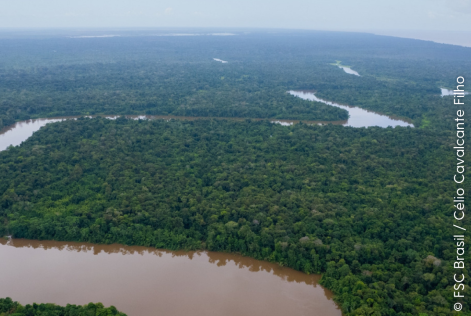 © FSC Brasil / Célio Cavalcante Filho