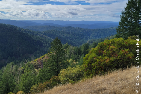 © FSC Canada - Monika Patel