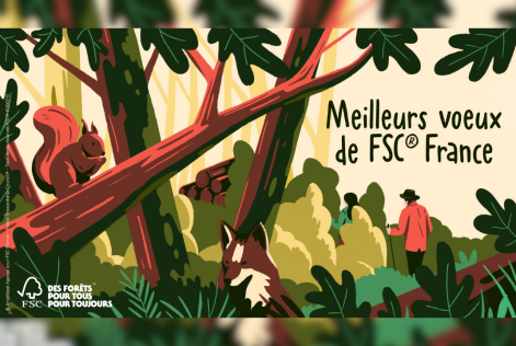 Vignette article site internet Voeux 2026