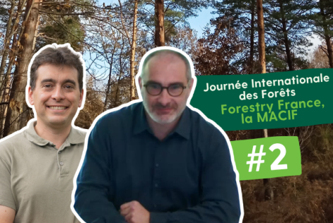 JIF26 Forestry x MACIF