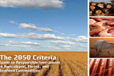 Couverture du guide "2050 Crit&egrave;res"