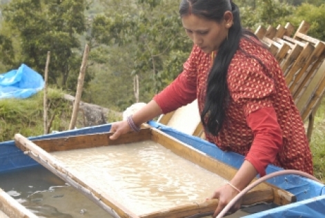 Communautés népalaises dépendantes des forêts
