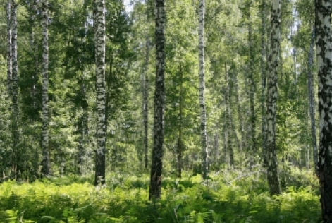 Consultation publique