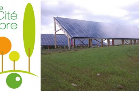 La Cité de l'Arbre© - en construction