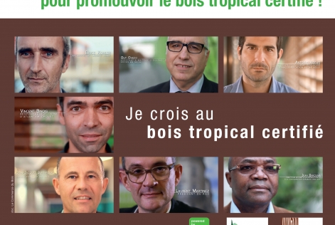 Des nouvelles vidéos à découvrir pour promouvoir le bois tropical certifié !