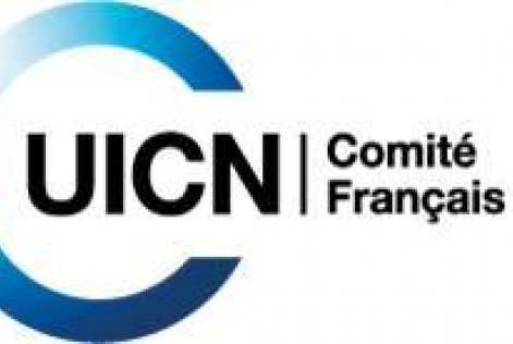 Guillaume Dahringer, Directeur Technique de FSC France, devient membre du Groupe de référence Liste Verte du Comité National de l’UICN.
