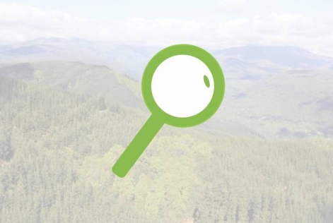 Bilan mauvais usages 1er semestre 2016