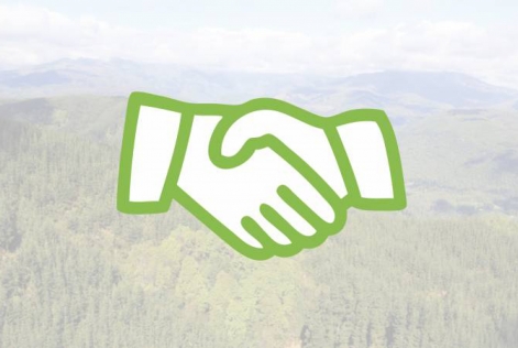 Removal of suspension (© FSC GD)