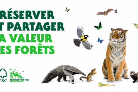 Préserver et partager la valeur des forêts