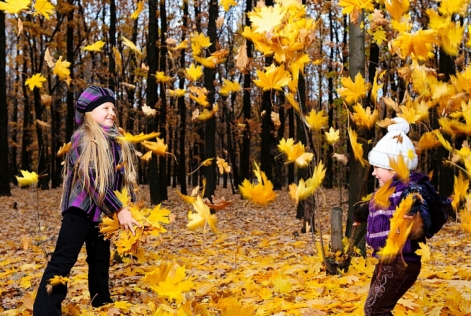 services ecosystémiques