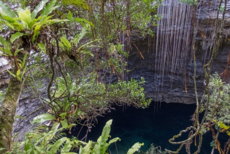 Trou d'eau en forêt, île de Maré
