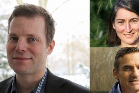 CA FSC INTERNATIONAL