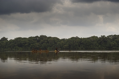 Bassin du Congo