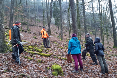 Audit en forêt