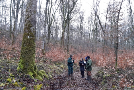 Pré-audit dans une forêt gérée par le SIGFRA