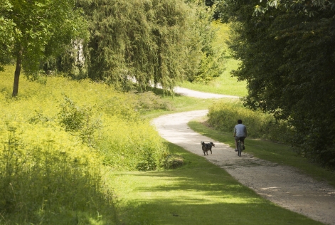 Forêt régionale de Bondy