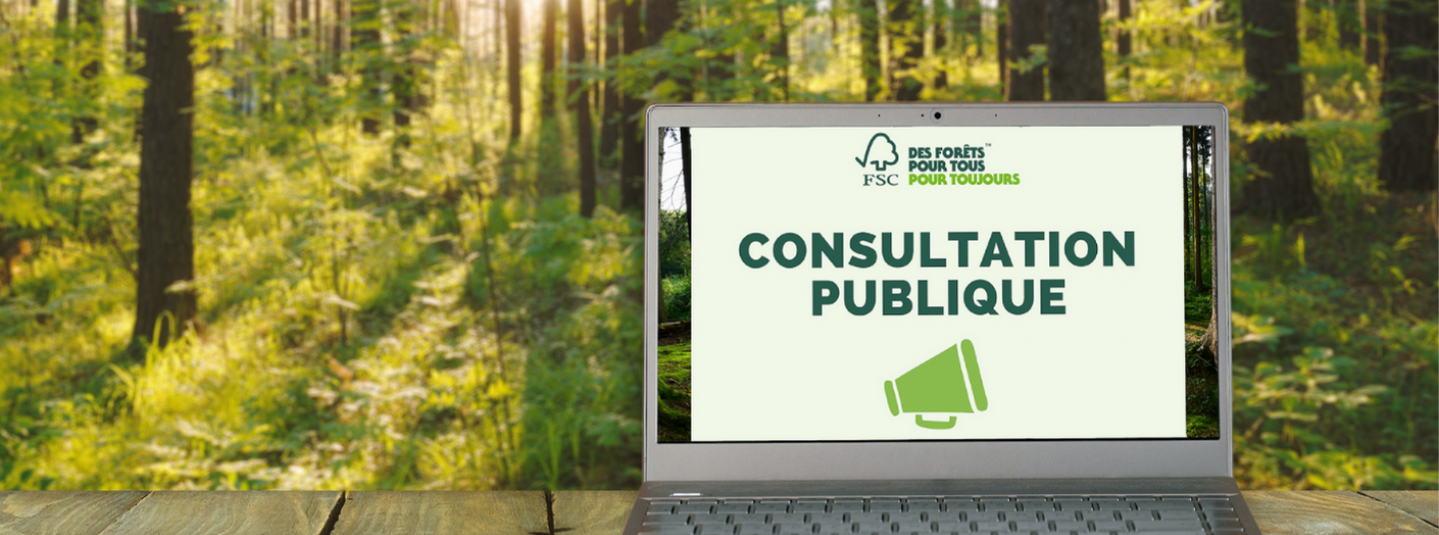 Consultation FSC