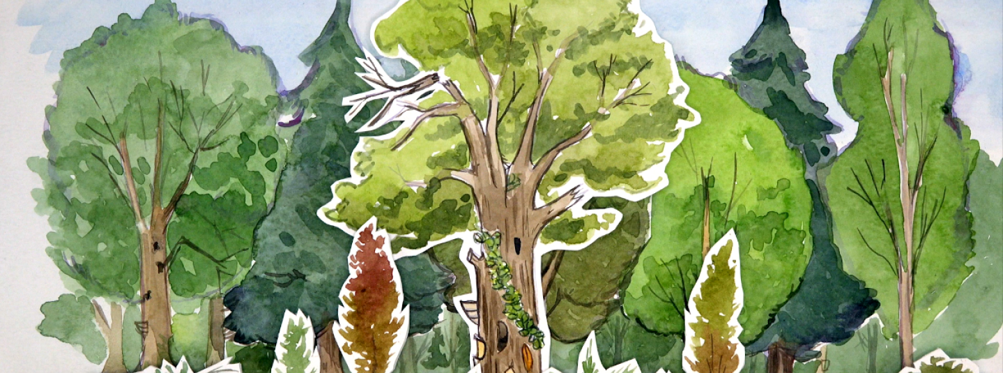 Forêts dessins