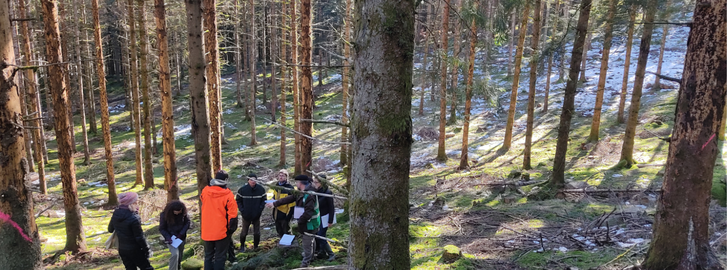 Test en forêt FSC