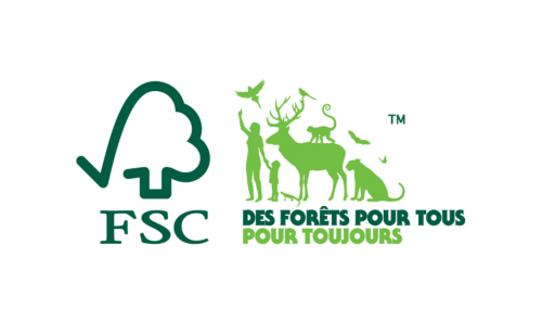 Logo FSC DFPTPT
