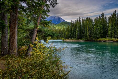 Canada