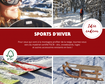 Sports d'hiver