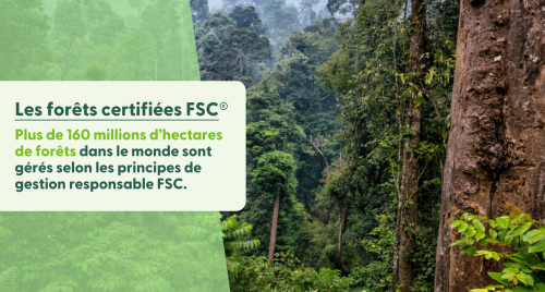 Les forêts certifiées FSC