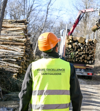Fibre Excellence