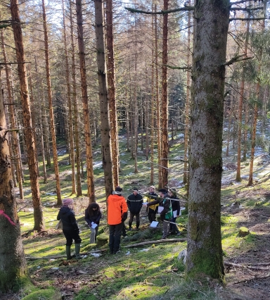 Test en forêt FSC