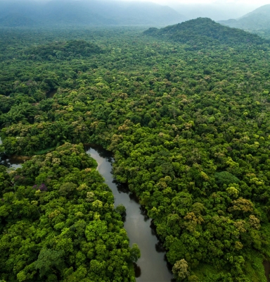Forêts de Guyane