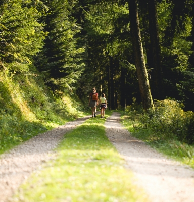 Balade en forêt