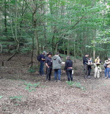 Formation Normandie