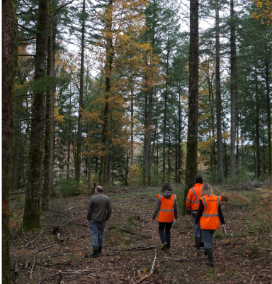 Approche par le risque | Forest Stewardship Council