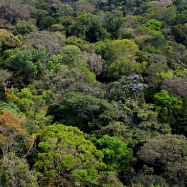 Guyane