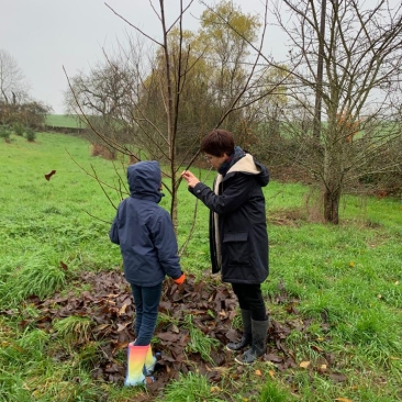 Le dernier arbre familial en date : le noyer de ma fille