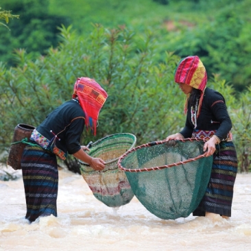 © FSC - Phan Tan Lam
