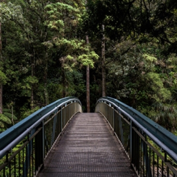 © unsplash.com / Tim Swaan