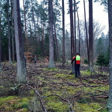 FSC_report_1590065094_image.jpg