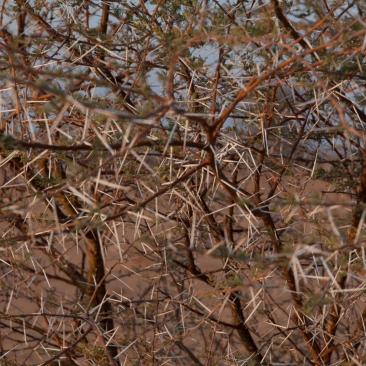 FSC_report_1601382287_image.jpg