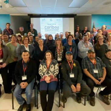 Pikogan Caribou Forum Pikogan Caribou Forum