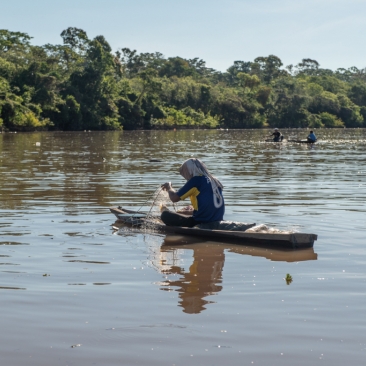 FSC_report_1615387353_image.jpg