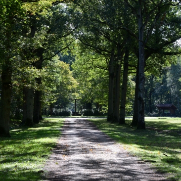 Forêt de Rougeau