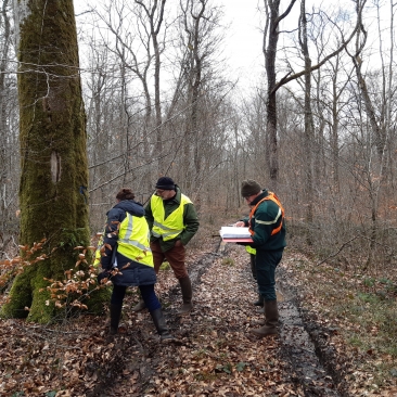 Pré-audit dans une forêt gérée par le SIGFRA